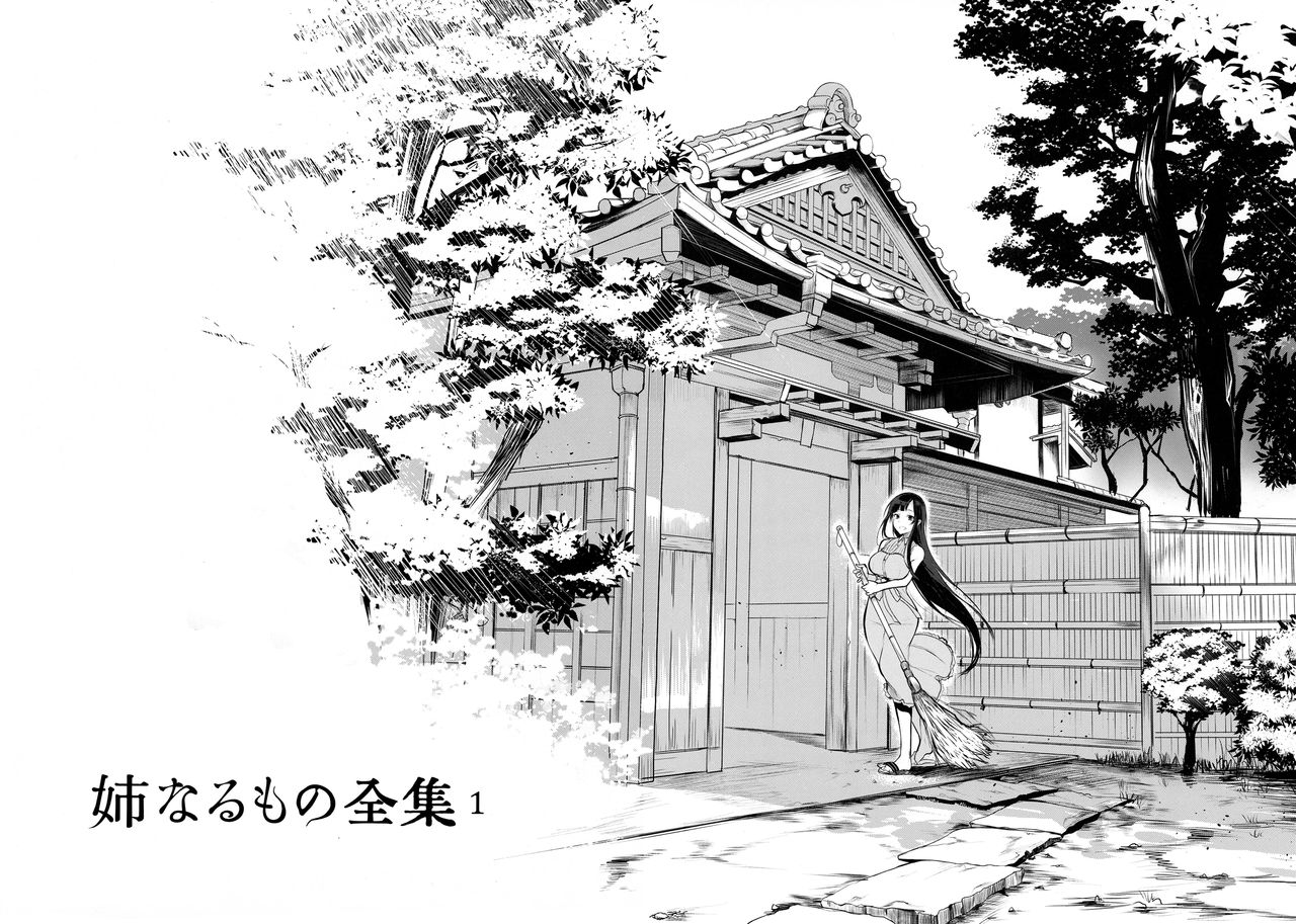 (C92) [ぽち小屋。 (ぽち。)] 姉なるもの全集1 (姉なるもの) [英訳]