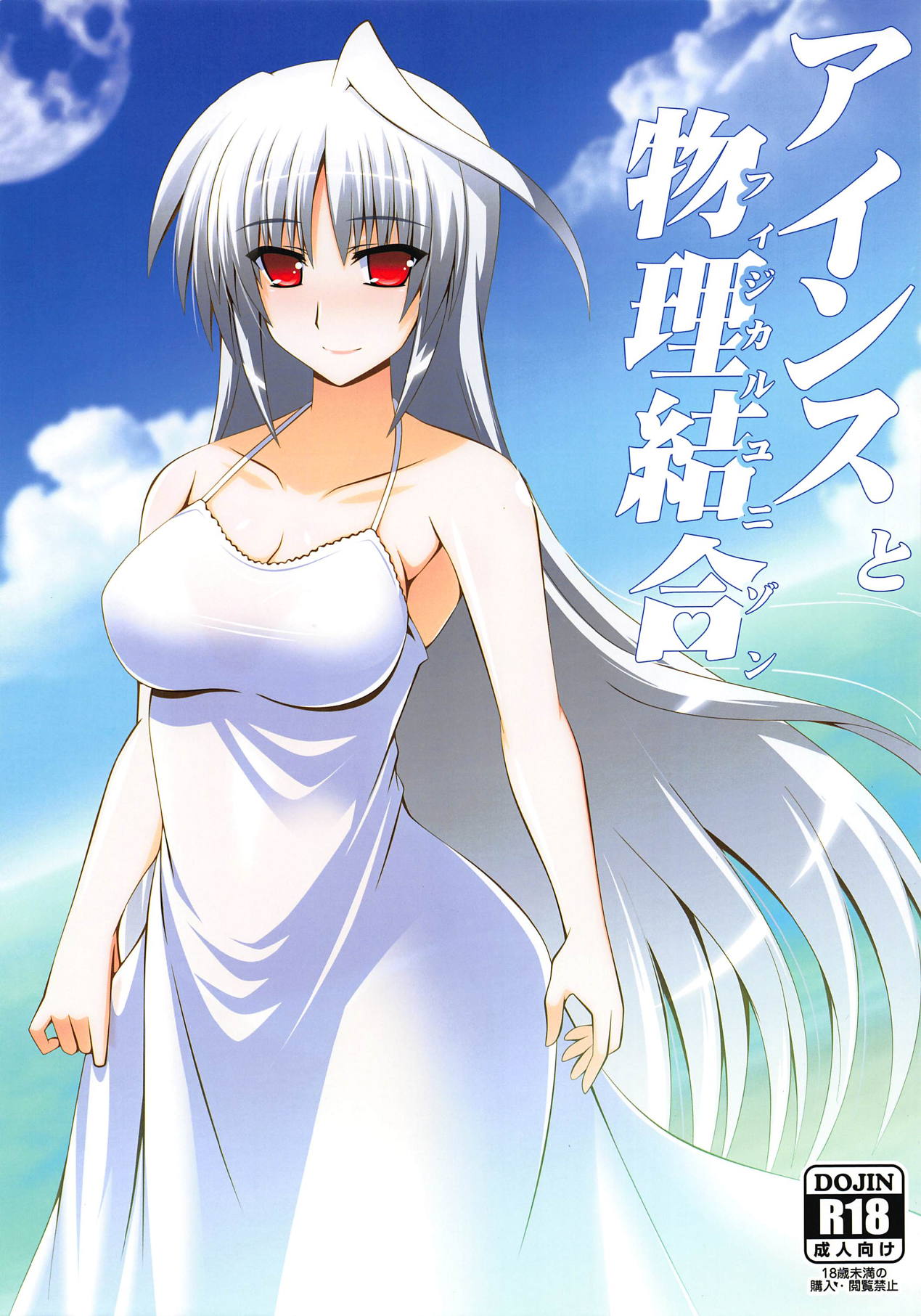 (C94) [Aquarius Gate (えんご)] アインスと物理結合 (魔法少女リリカルなのは)