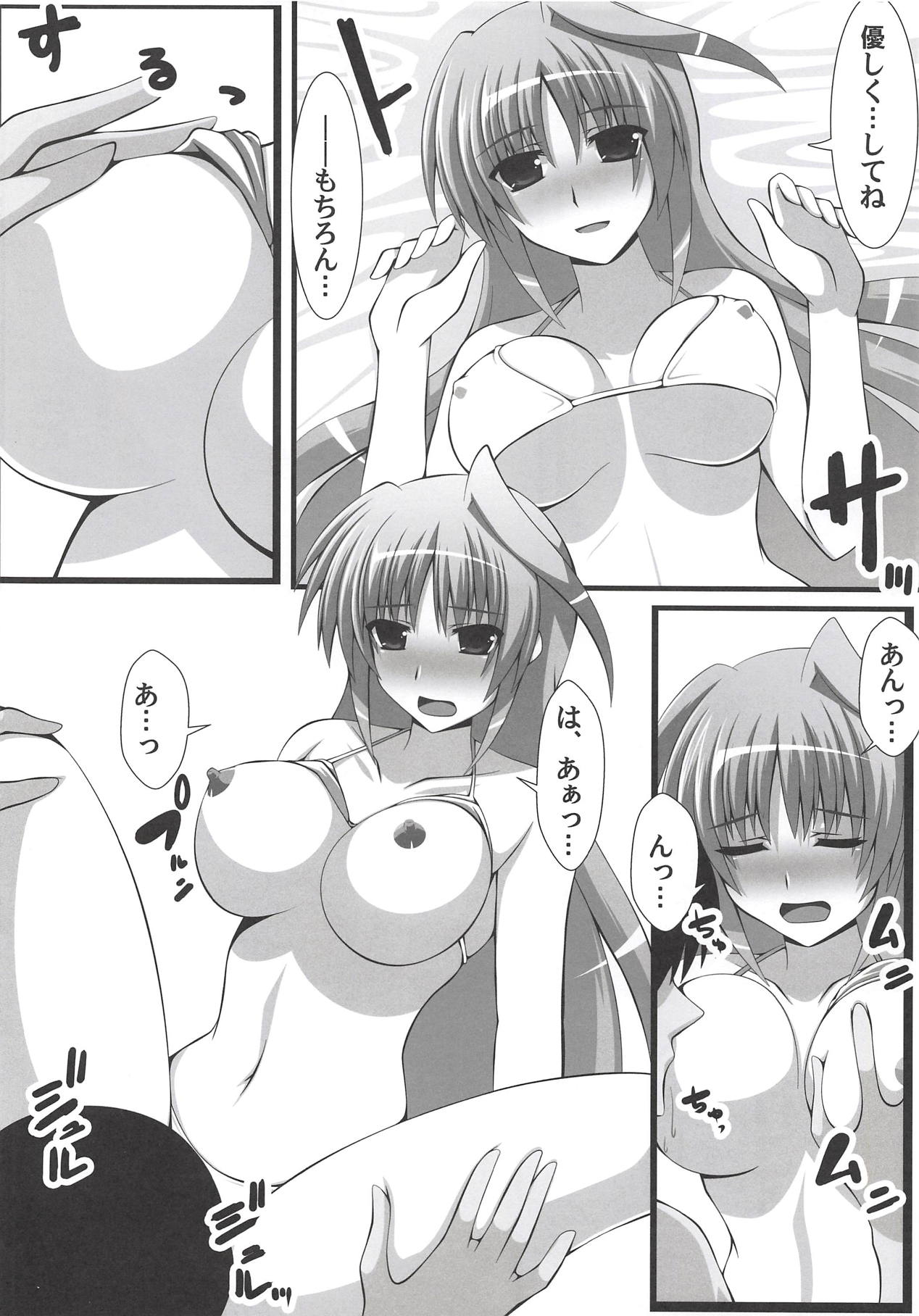 (C94) [Aquarius Gate (えんご)] アインスと物理結合 (魔法少女リリカルなのは)