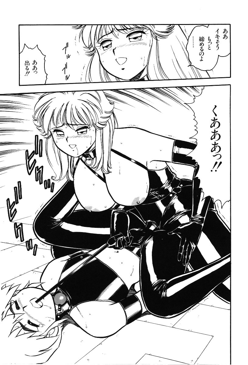 [しのざき嶺] デザート・ミストレス