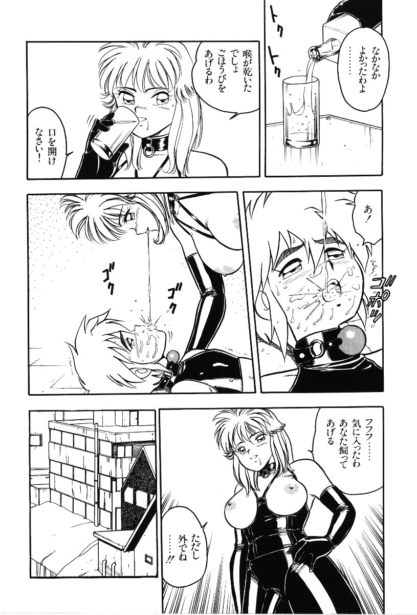 [しのざき嶺] デザート・ミストレス