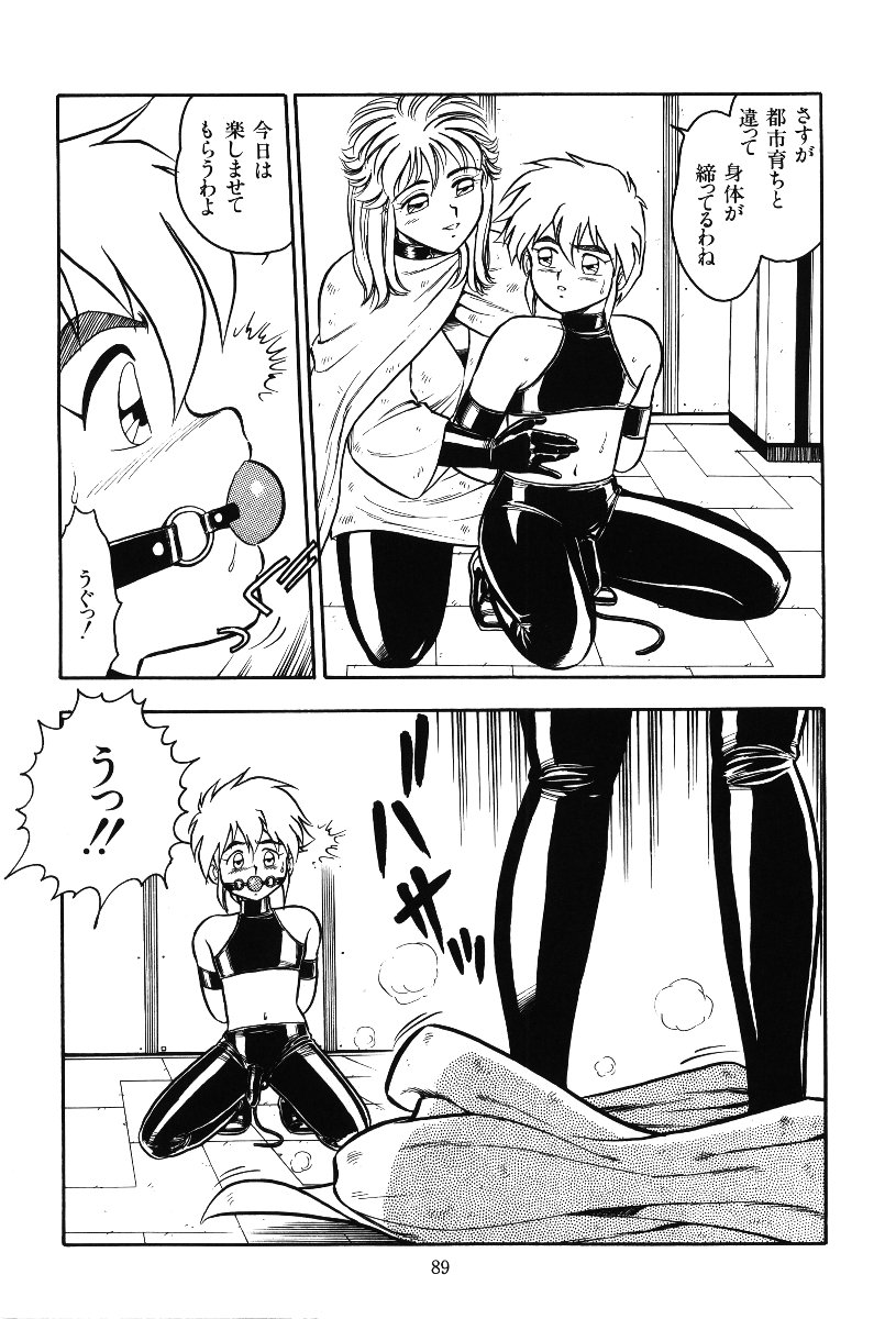 [しのざき嶺] デザート・ミストレス
