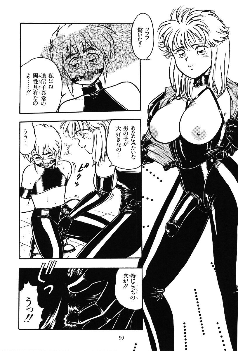 [しのざき嶺] デザート・ミストレス