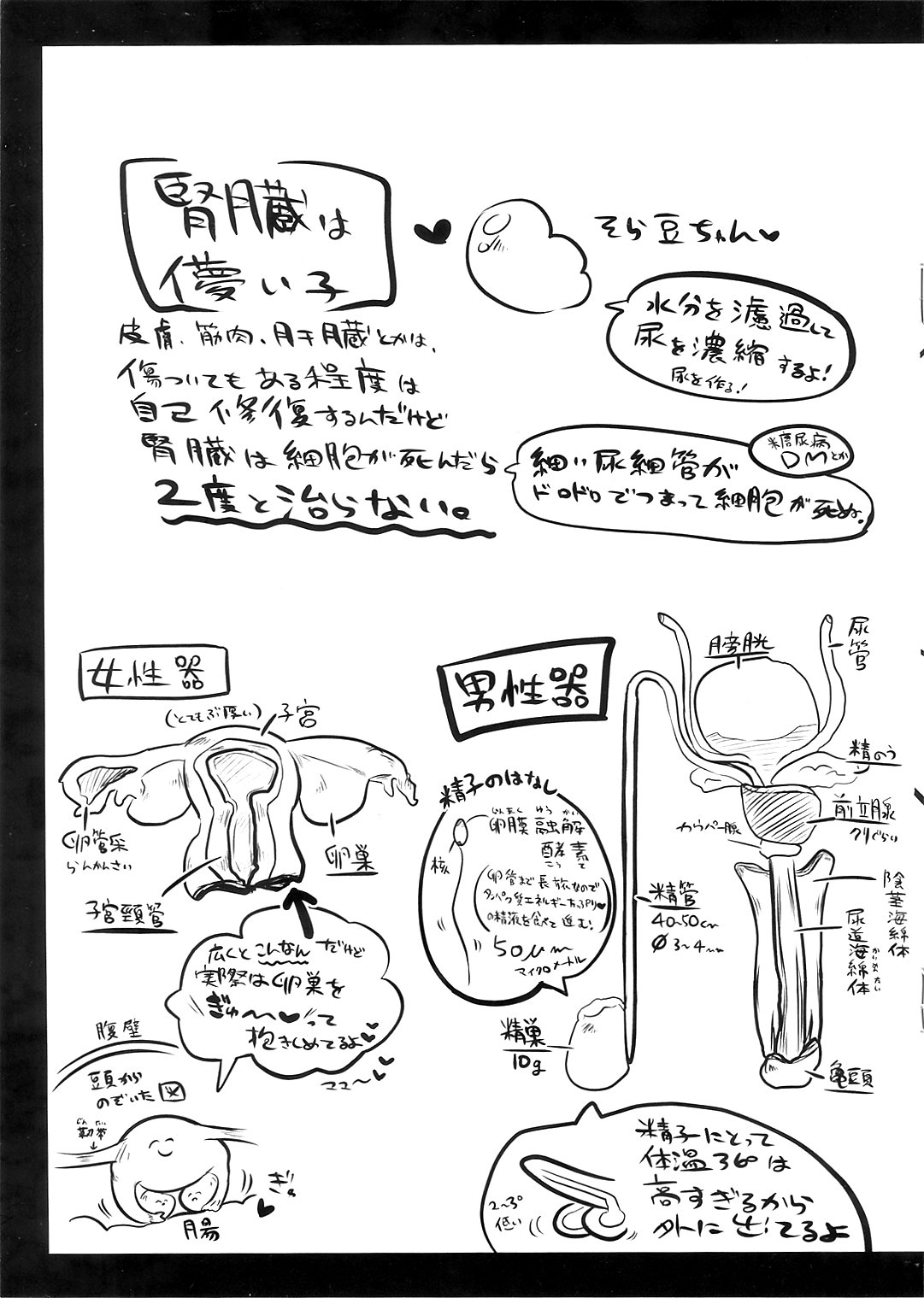 [ねぎとたけのこ (本田ねぎ)] リョナラーのための解剖生理 [DL版]