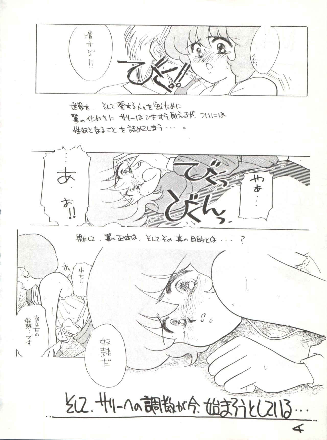 (C42) [スタジオカレーハウスチャンドラ (小菅勇太郎)] AGGRESSIVE Vol.2 (魔法使いサリー)