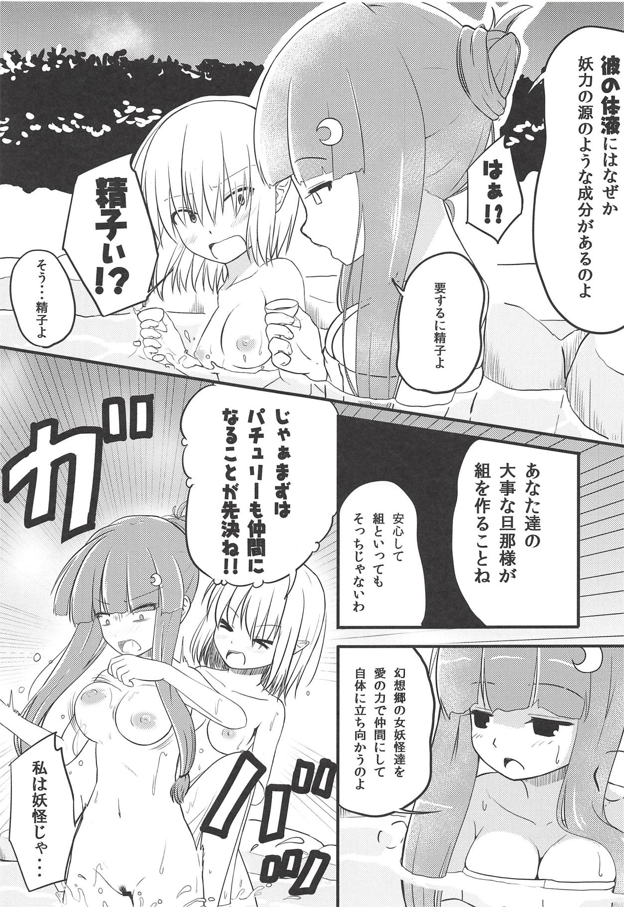 (例大祭13) [わっしょい☆工房 (速水桜)] 妖怪少女の愛しかた3 (東方Project)