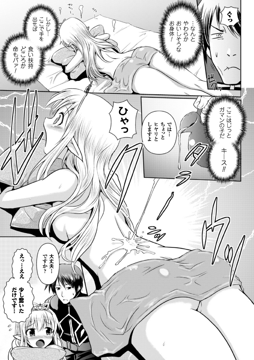 [時丸佳久、磯貝武連] エルフの国の宮廷魔導師になれたので姫様に性的な悪戯をしてみた THE COMIC [DL版]