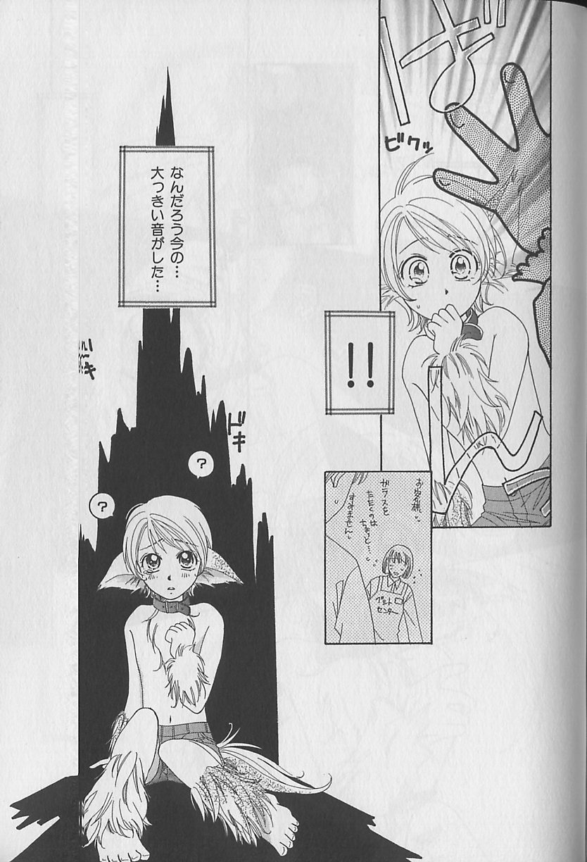 [アンソロジー] ビーボーイ福袋2000