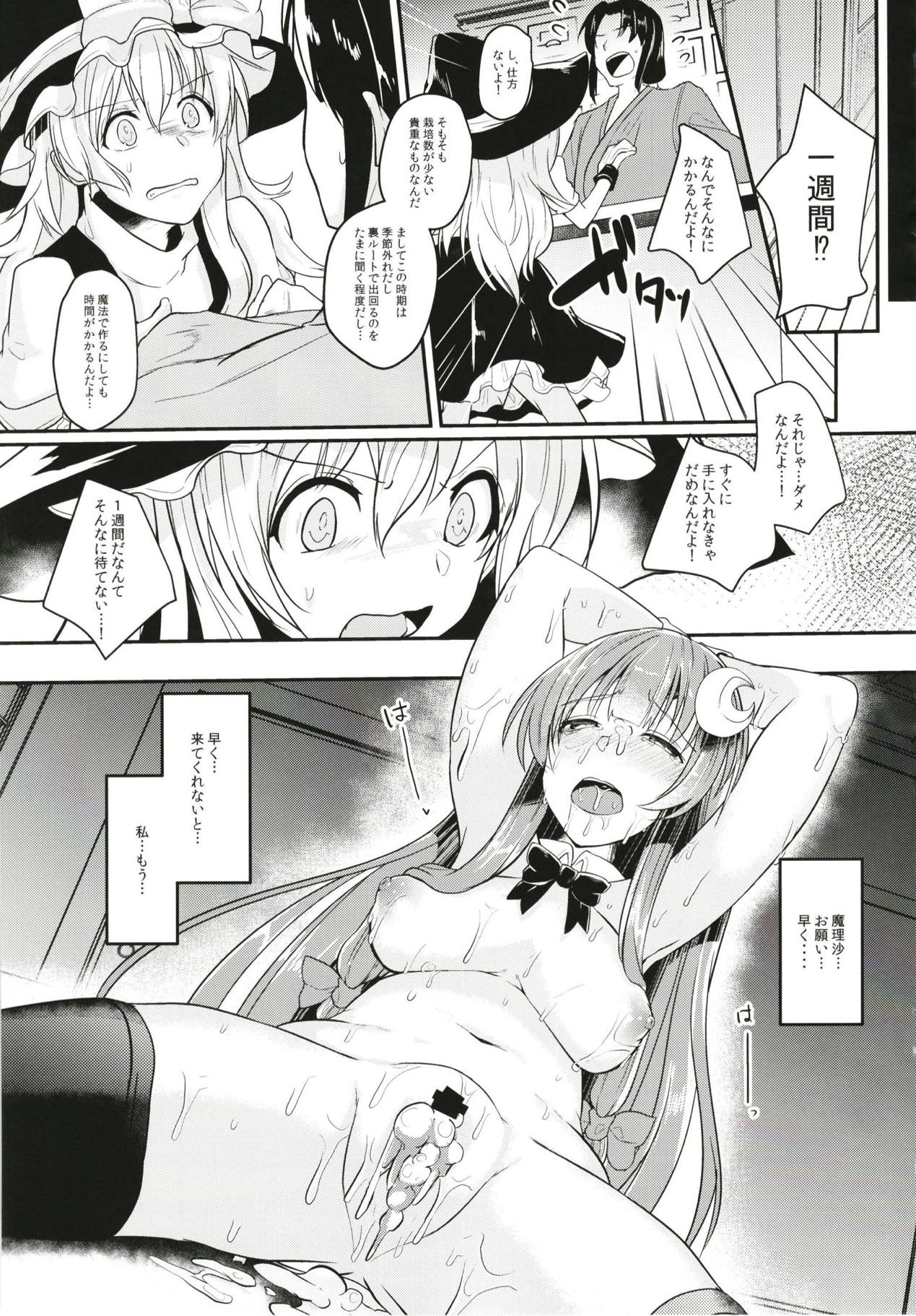 (例大祭15) [空想モノクローム (あび)] 身代わりのパチュリー (東方Project)