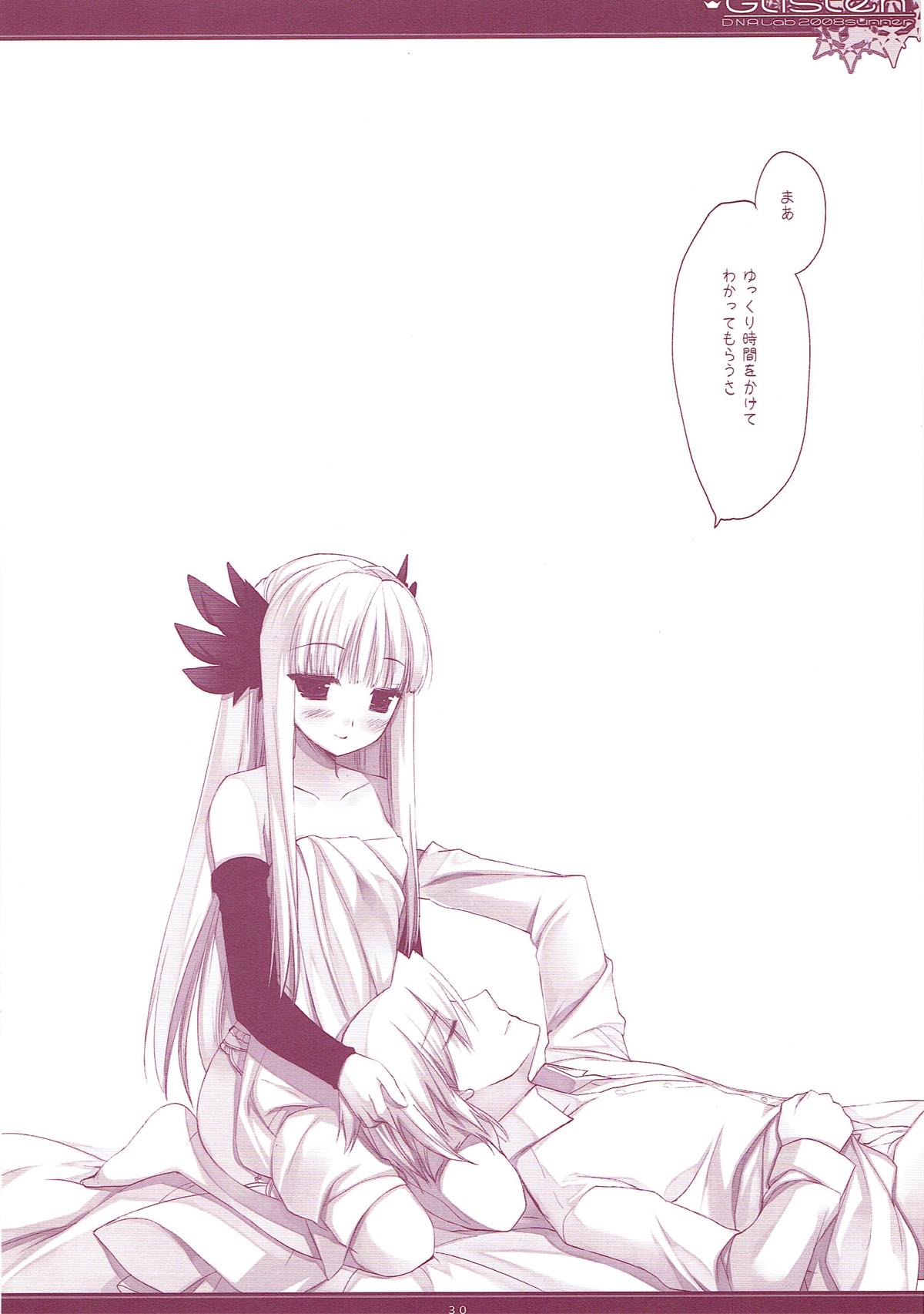 (COMIC1☆6) [D・N・A.Lab. (ミヤスリサ)] Classic5 (よろず)