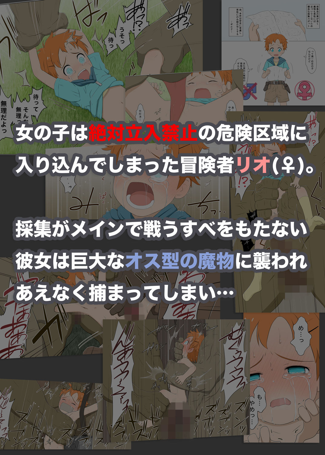 [偽もの] ボーイッシュ冒険者VS女の子立ち入り禁止エリア