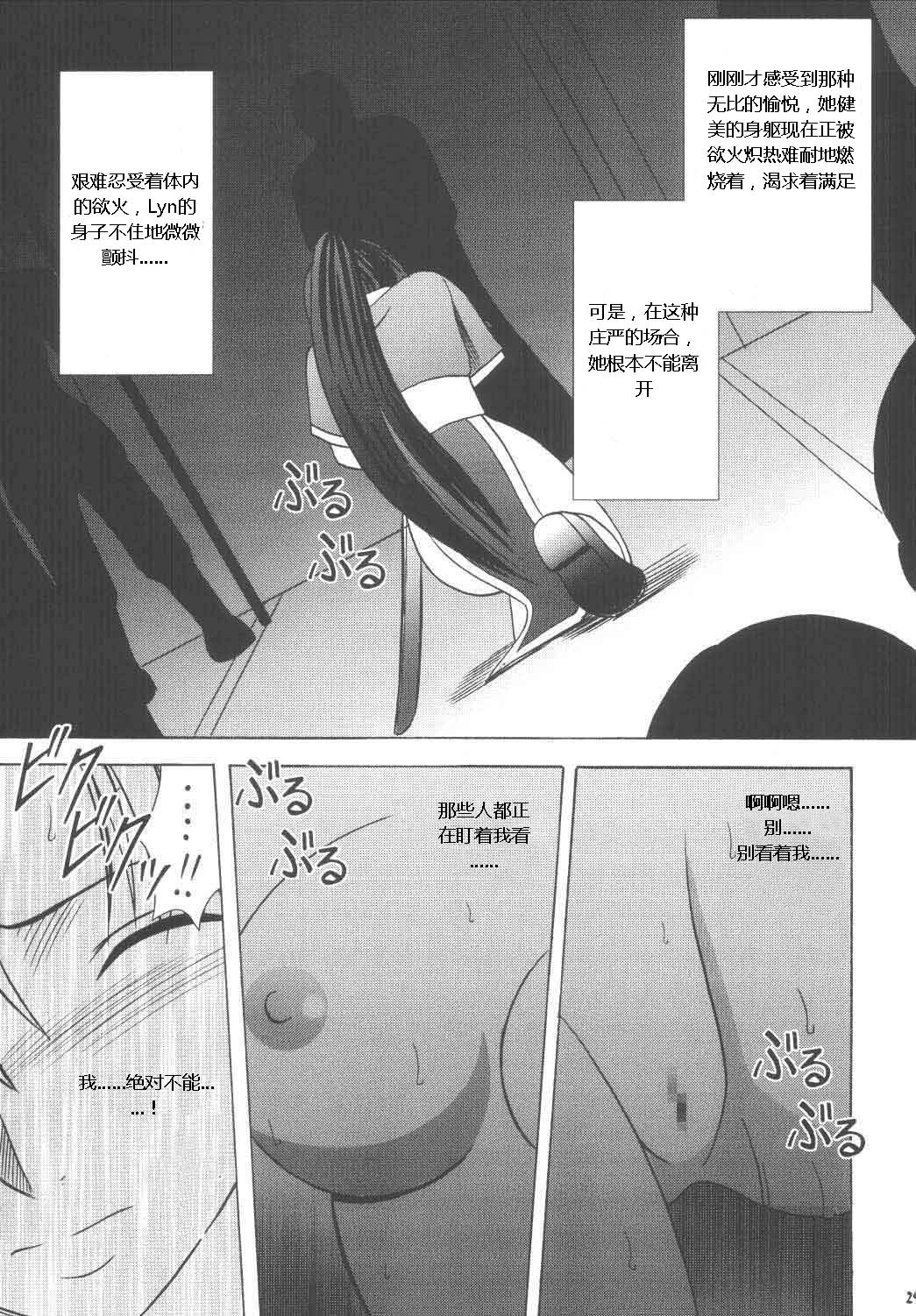 [クリムゾン (カーマイン)] 烈火の傷跡 (ファイアーエムブレム 烈火の剣) [中国翻訳]