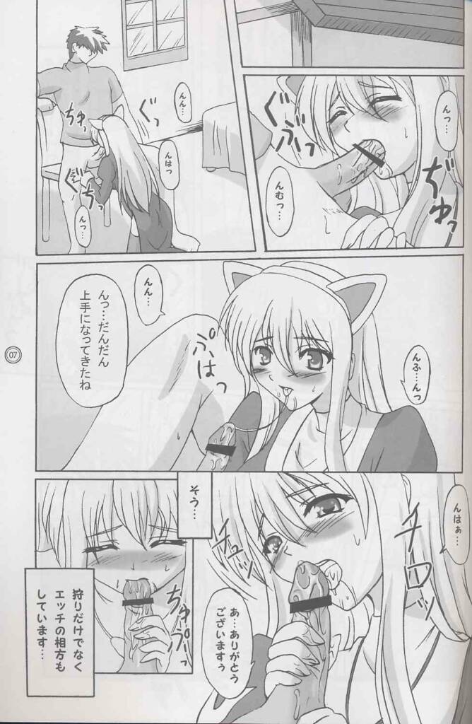 (C65) [Primal Gym (河瀬セイキ)] PET☆THERAPY (ラグナロクオンライン)