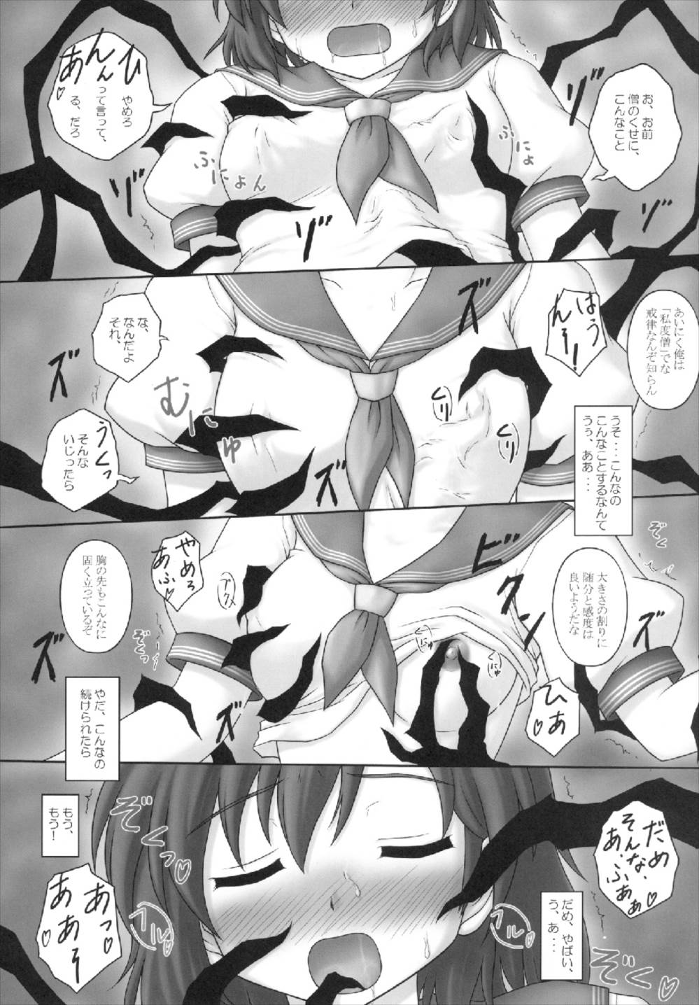 (C77) [にゅうたいぷ研究所 (理)] とらマル2! (東方Project)
