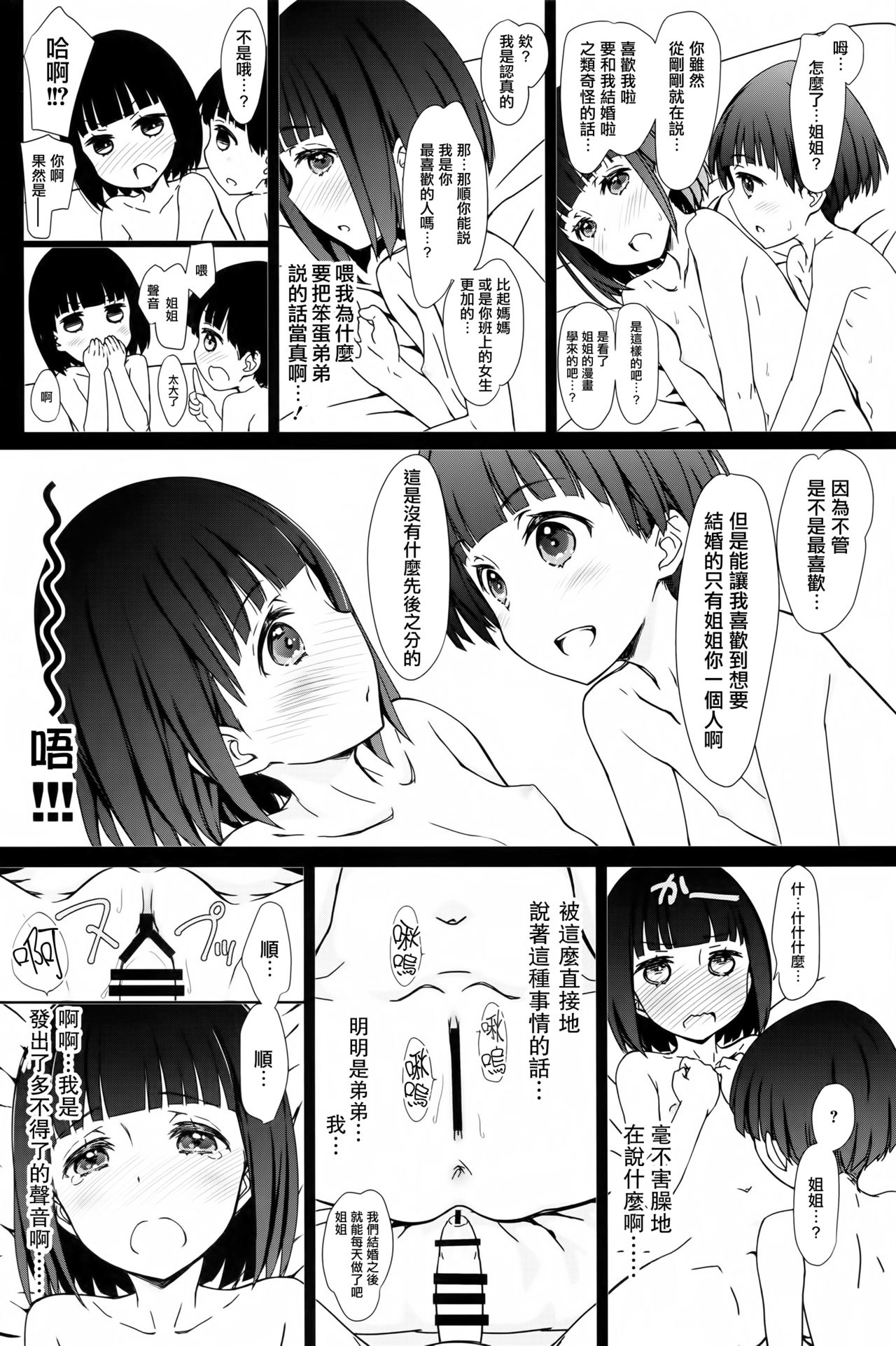 (コミティア120) [超平板小娘電視台 (ほっけうるふ)] お姉ちゃんと僕と [中国翻訳]