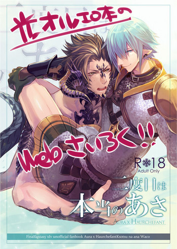 [軽率な穴 (わこ)] 二度目は本当のあさ (ファイナルファンタジーXIV) [DL版]