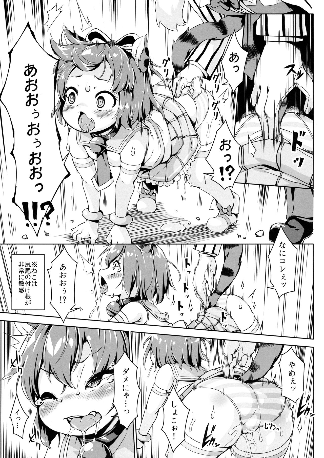 (C92) [ななめ班 (半しゃる)] ねこ堕ちシャインフェアリーズ