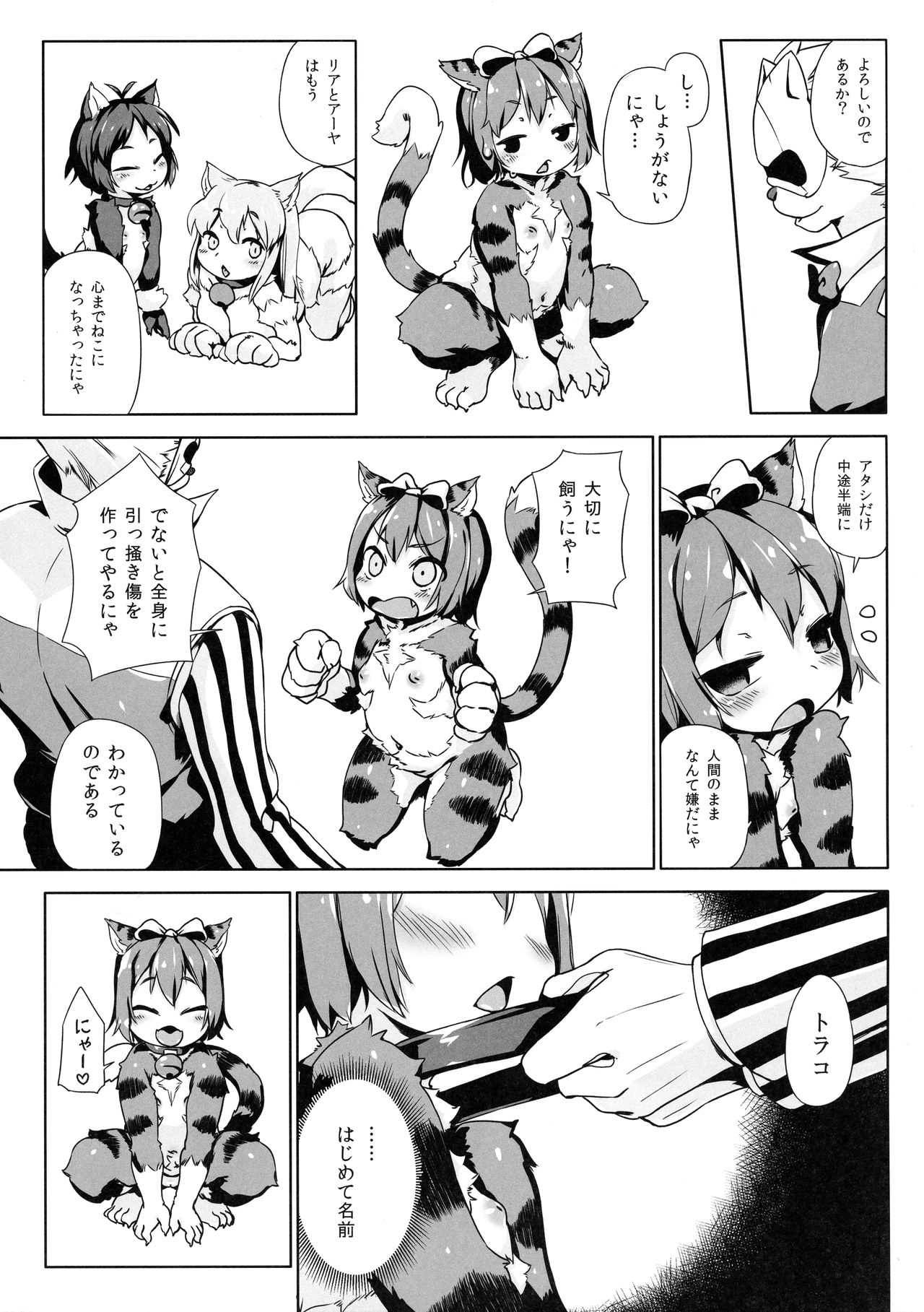 (C92) [ななめ班 (半しゃる)] ねこ堕ちシャインフェアリーズ