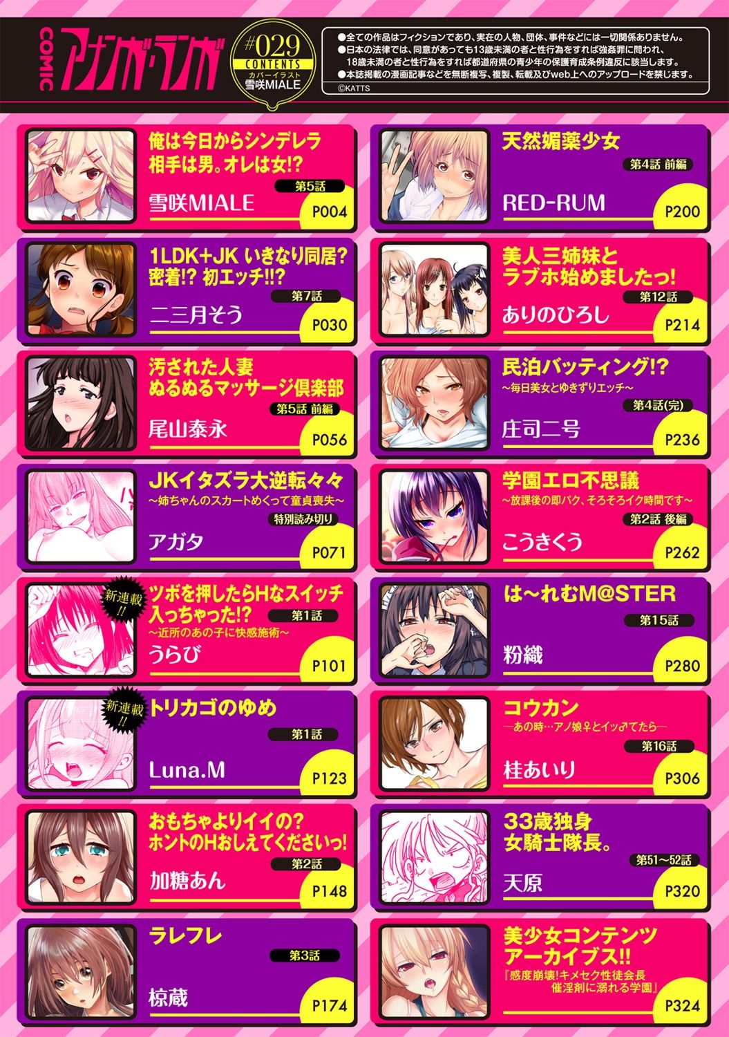 アナンガ・ランガ Vol. 29