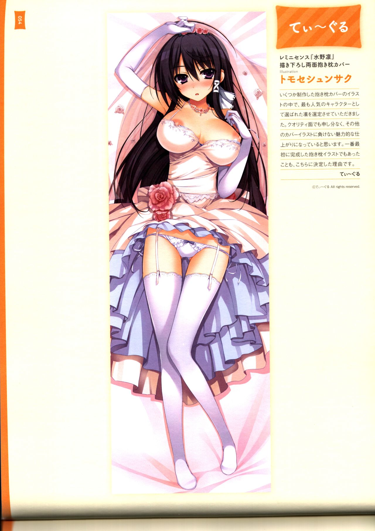 抱き枕カバー画集 美少女ゲーム編