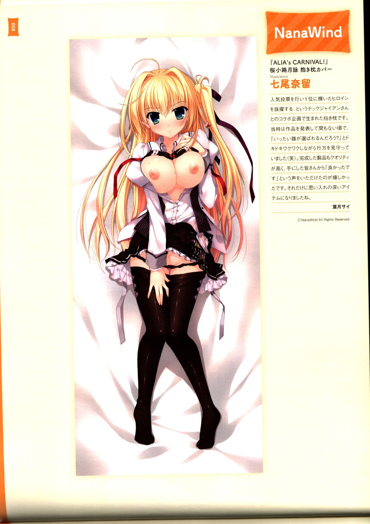 抱き枕カバー画集 美少女ゲーム編