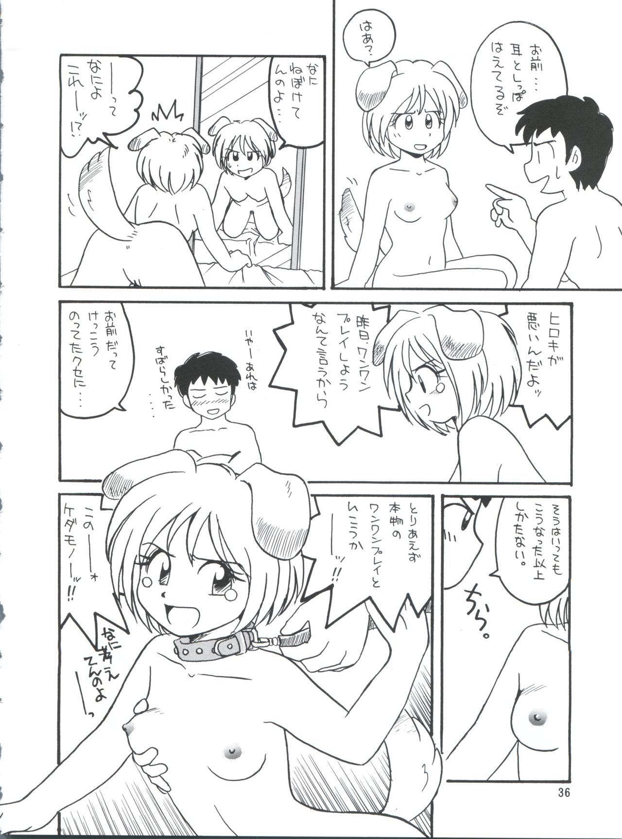 [チームプラスY (よろず)] プラスY Vol.26 けもみみっくす 2 (よろず)