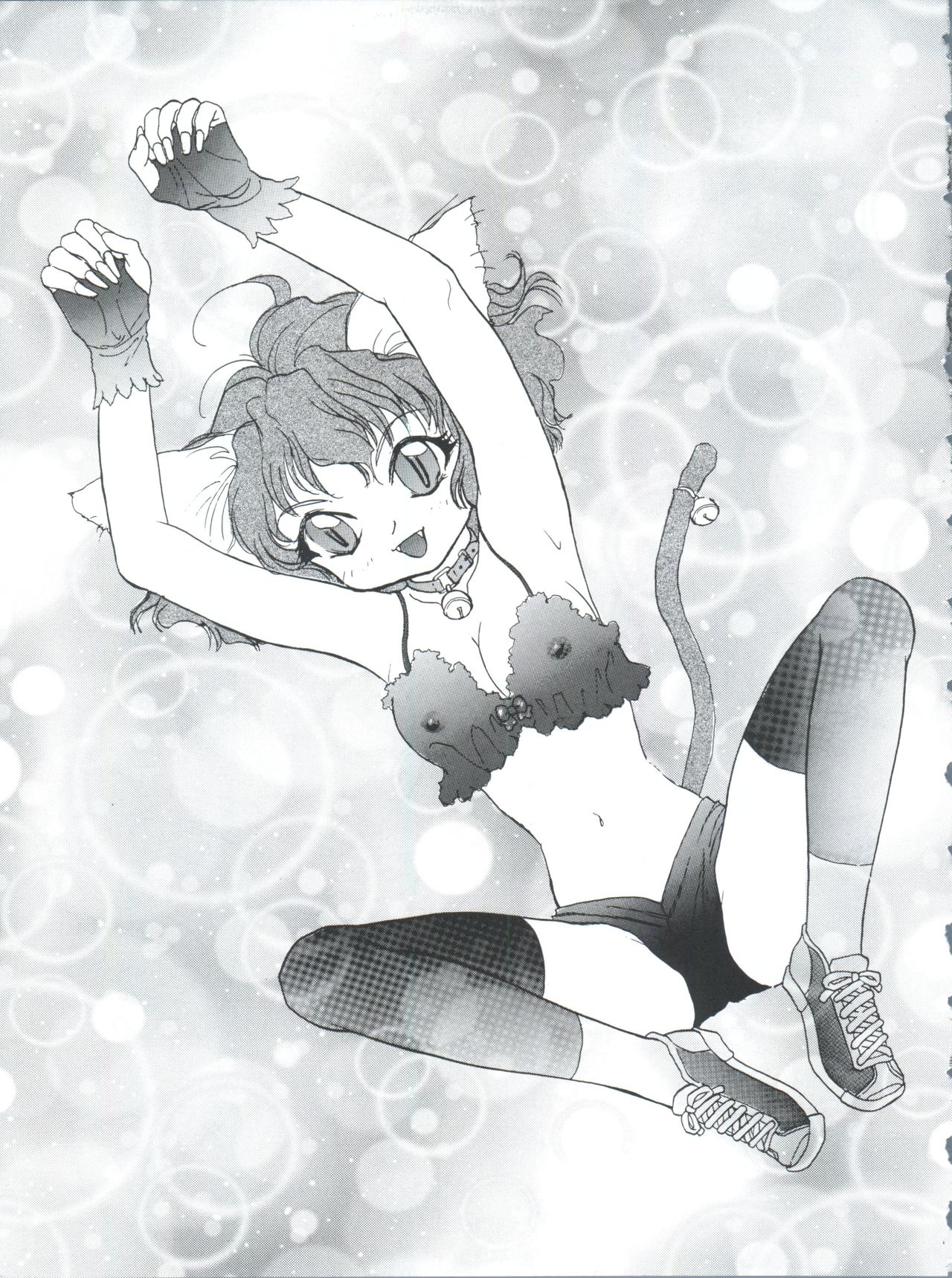 [チームプラスY (よろず)] プラスY Vol.26 けもみみっくす 2 (よろず)