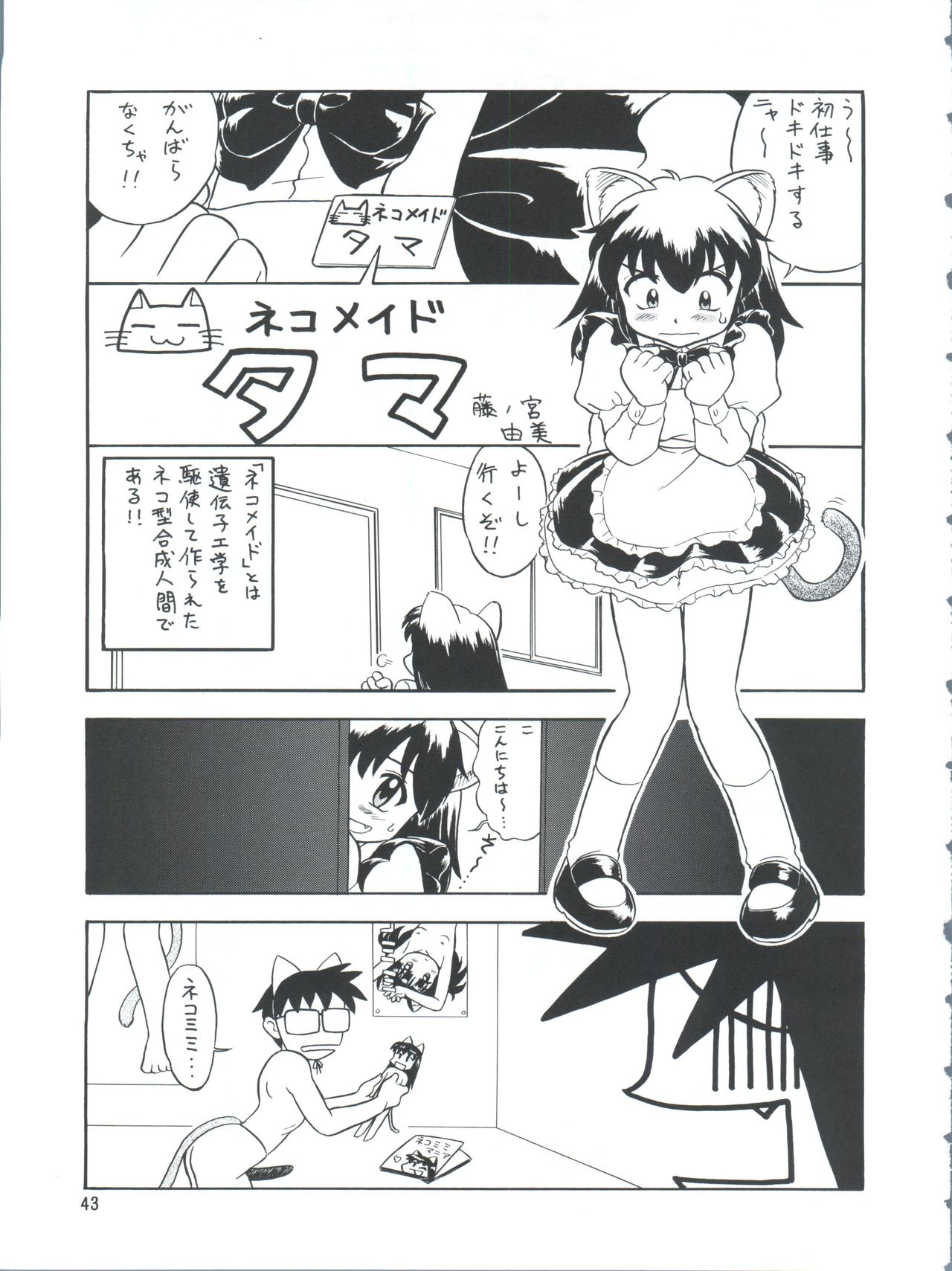 [チームプラスY (よろず)] プラスY Vol.26 けもみみっくす 2 (よろず)