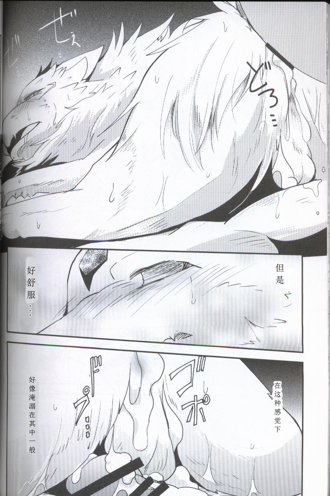 (関西!けもケット5) [けもののこしかけ (東みなつ)] 闇に堕ちる光 (テイルズ オブ アスタリア) [中国翻訳]