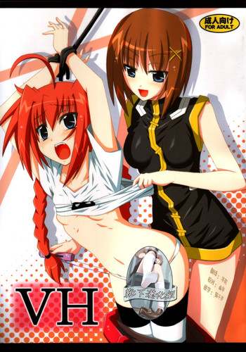 (C75) [夜の勉強会 (明日頼真咲 、ふみひろ)] VH (魔法少女リリカルなのは) [中国翻訳]