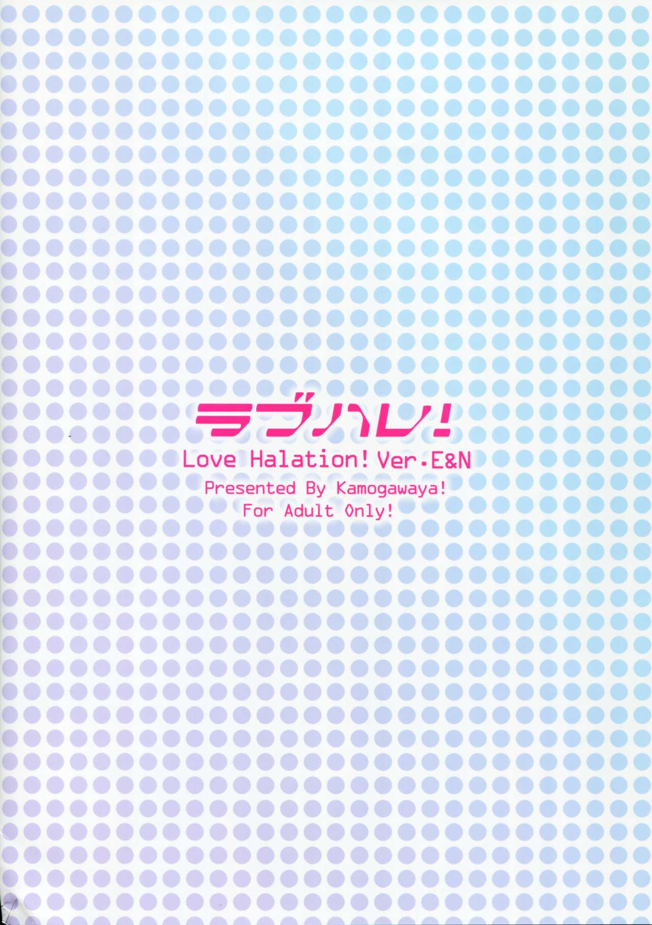 (C90) [鴨川屋 (鴨川たぬき)] ラブハレ! ver.E&N (ラブライブ!) [中国翻訳]