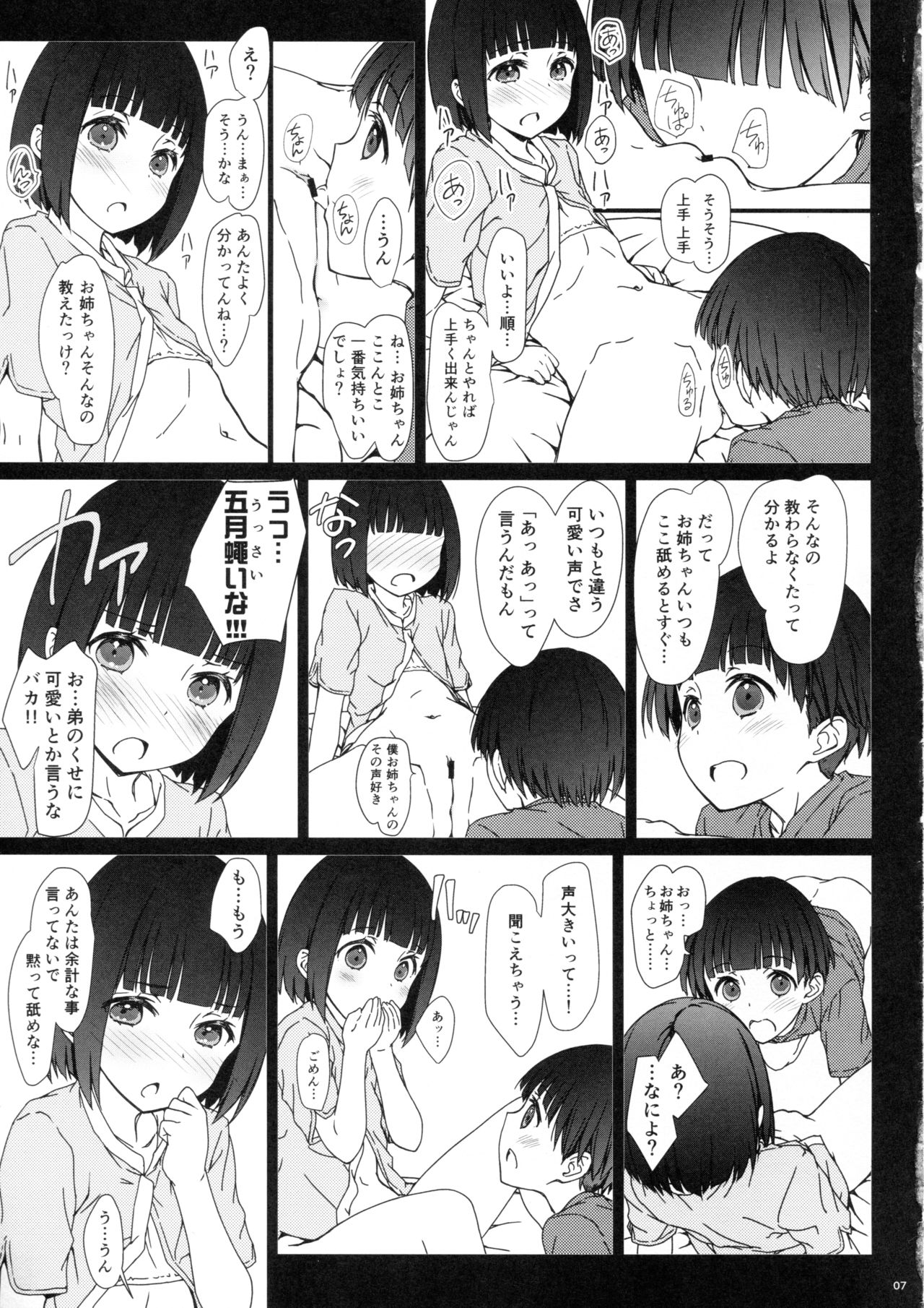 (コミティア120) [超平板小娘電視台 (ほっけうるふ)] お姉ちゃんと僕と