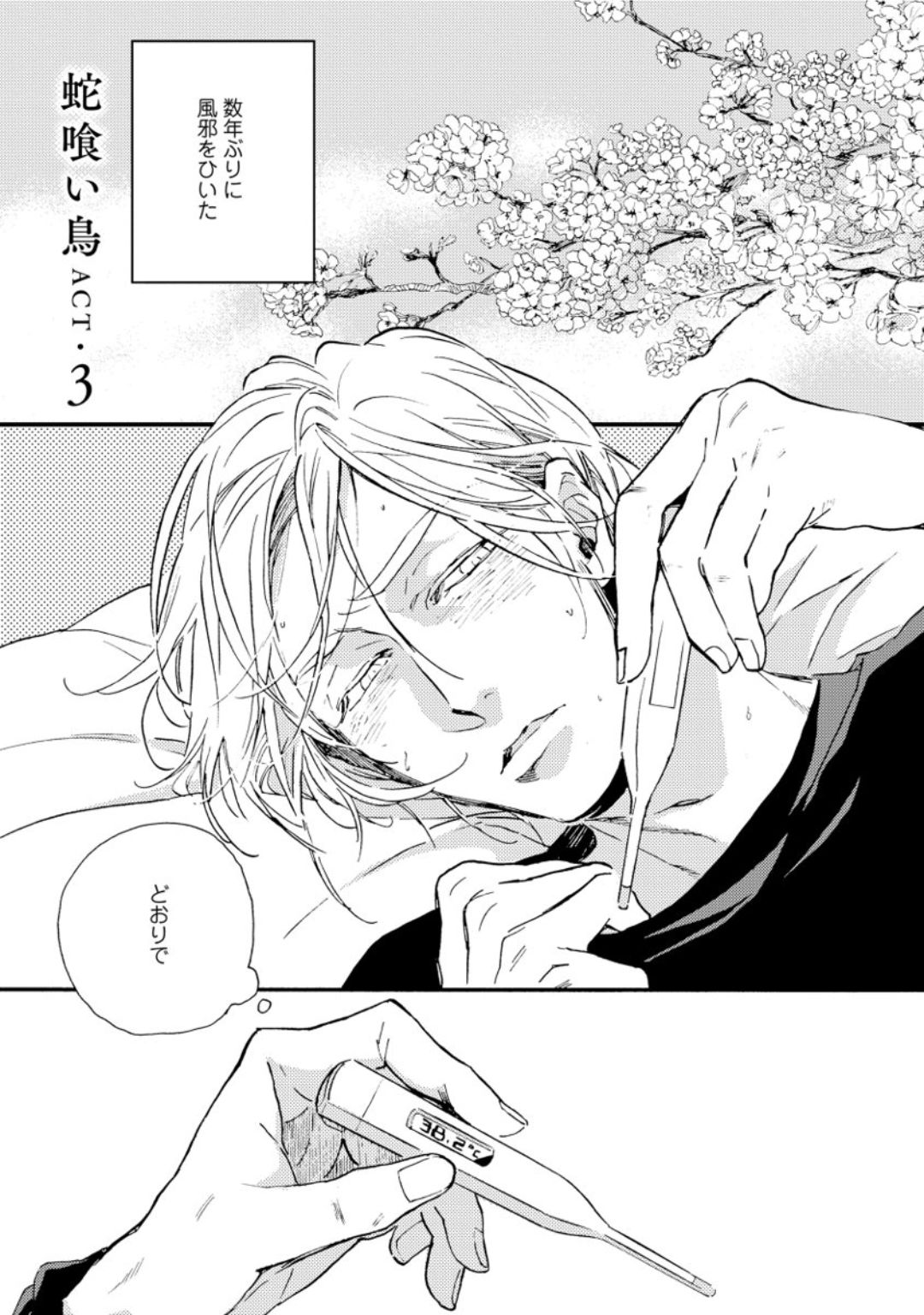 [芽玖いろは] 蛇喰い鳥