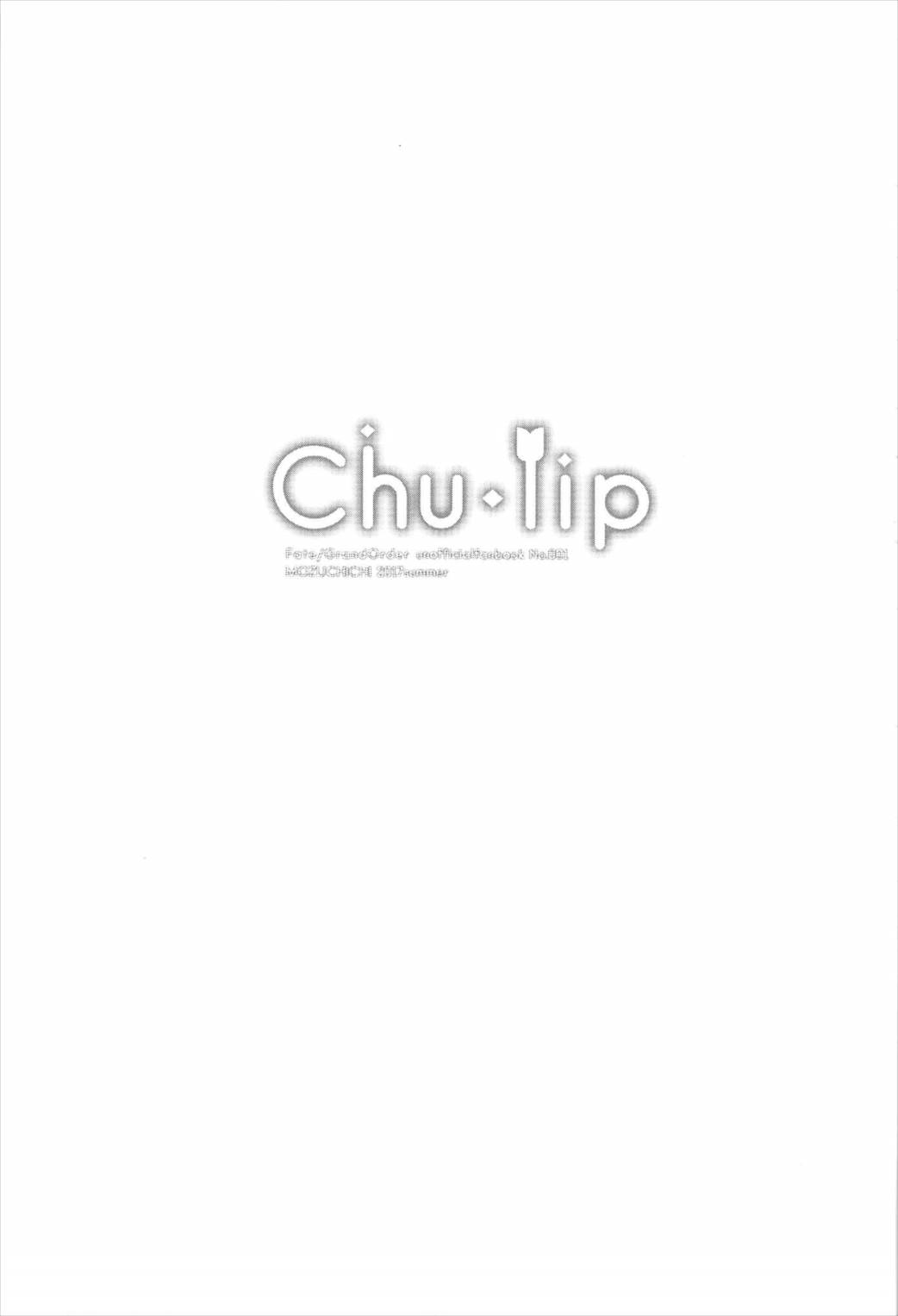 (C92) [もずちち (もずや紫)] Chu・lip (Fate/Grand Order)