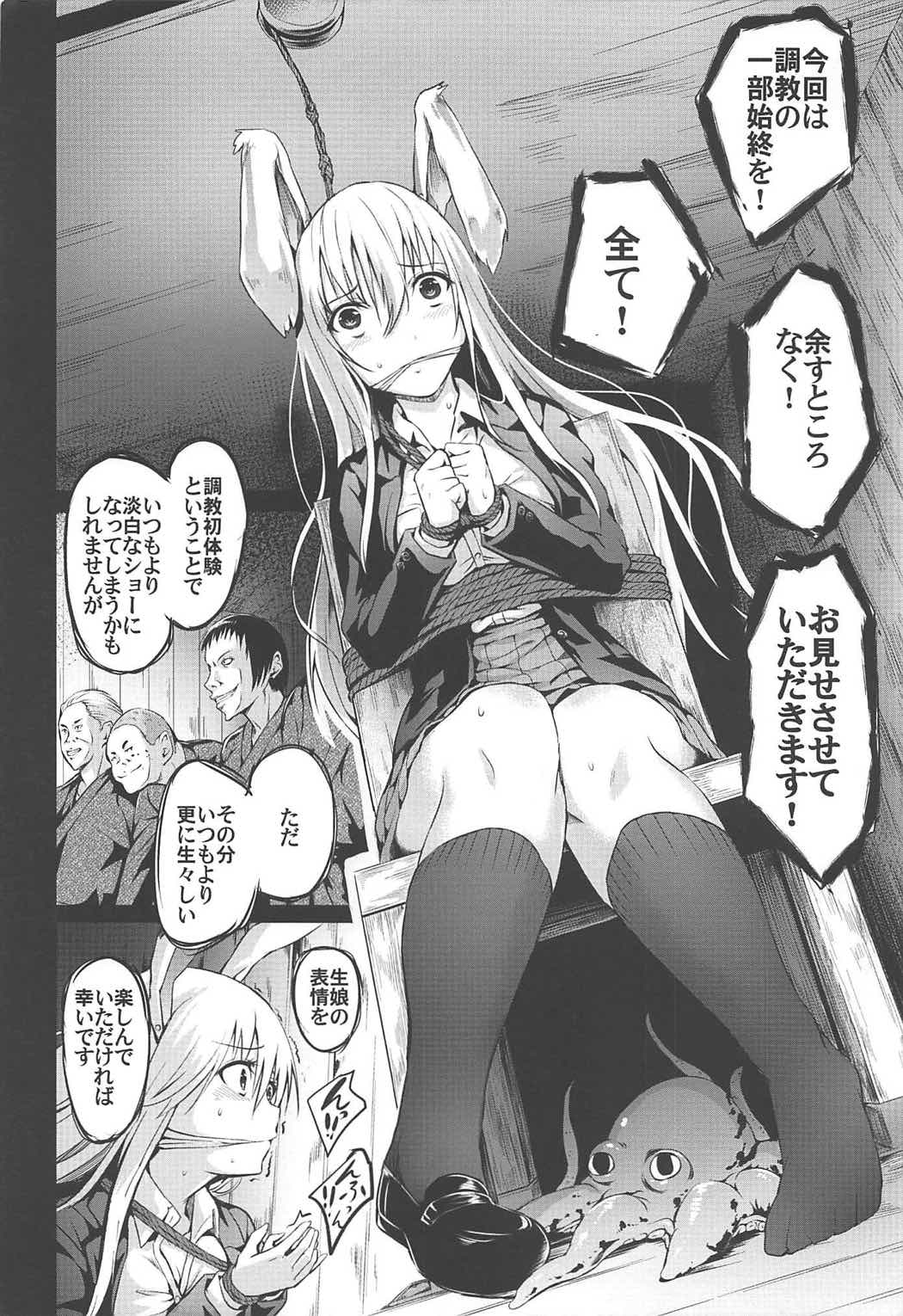 (C92) [和田マウンテン (「タカシ」)] 幻想禽獣園4 (東方Project)