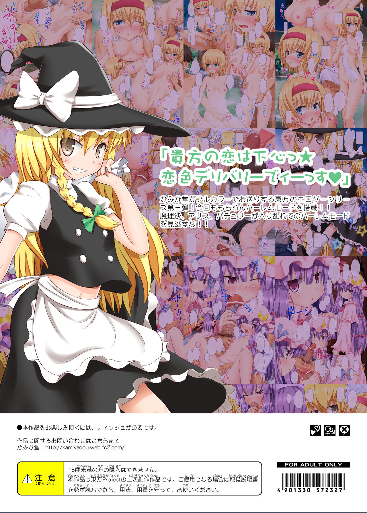 [かみか堂 (銀曜ハル)] 東方のエロゲー 3 (東方Project) [DL版]