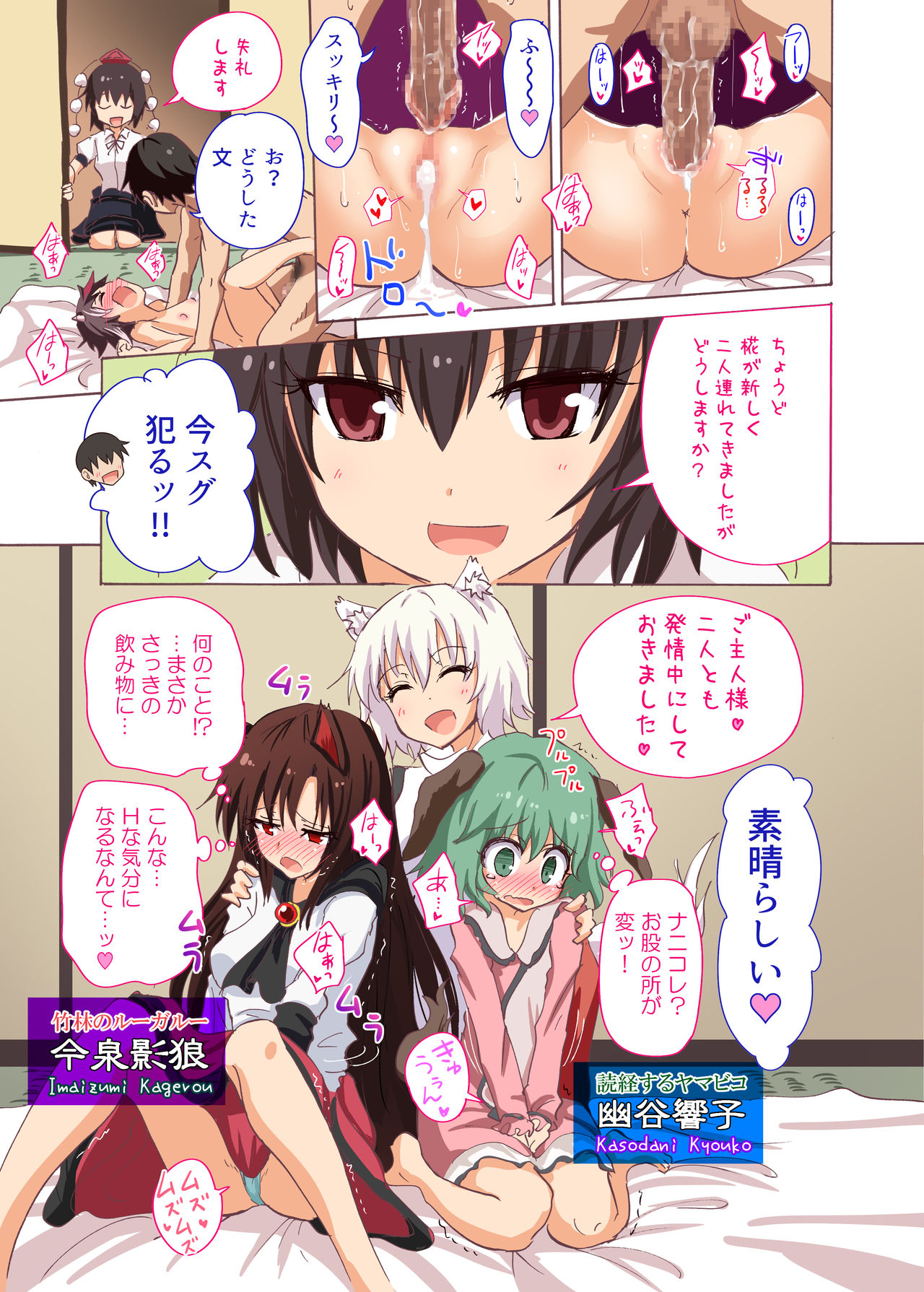 [かみか堂 (銀曜ハル)] 幻想郷楽園化計画 18 (東方Project) [DL版]