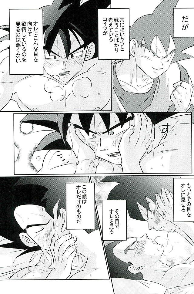 [Level+D (ぶい)] 00318 (ドラゴンボールZ)