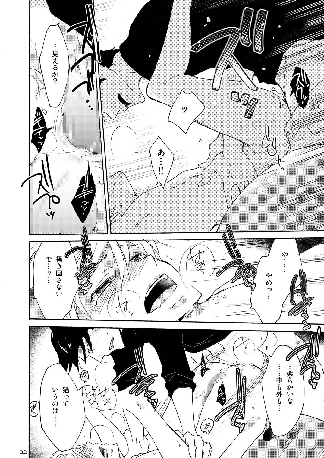 [+10 (楽田トリノ)] WOLF'S CAT Macaron: [DL版]