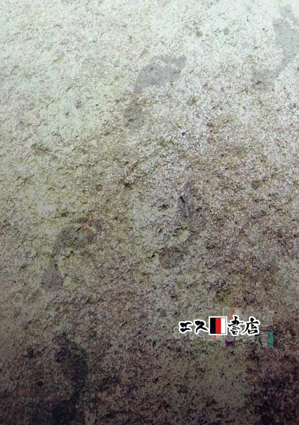 (サンクリ2017 Winter) [エス書店 (さんい)] ハダシのあしおと (アイドルマスター)