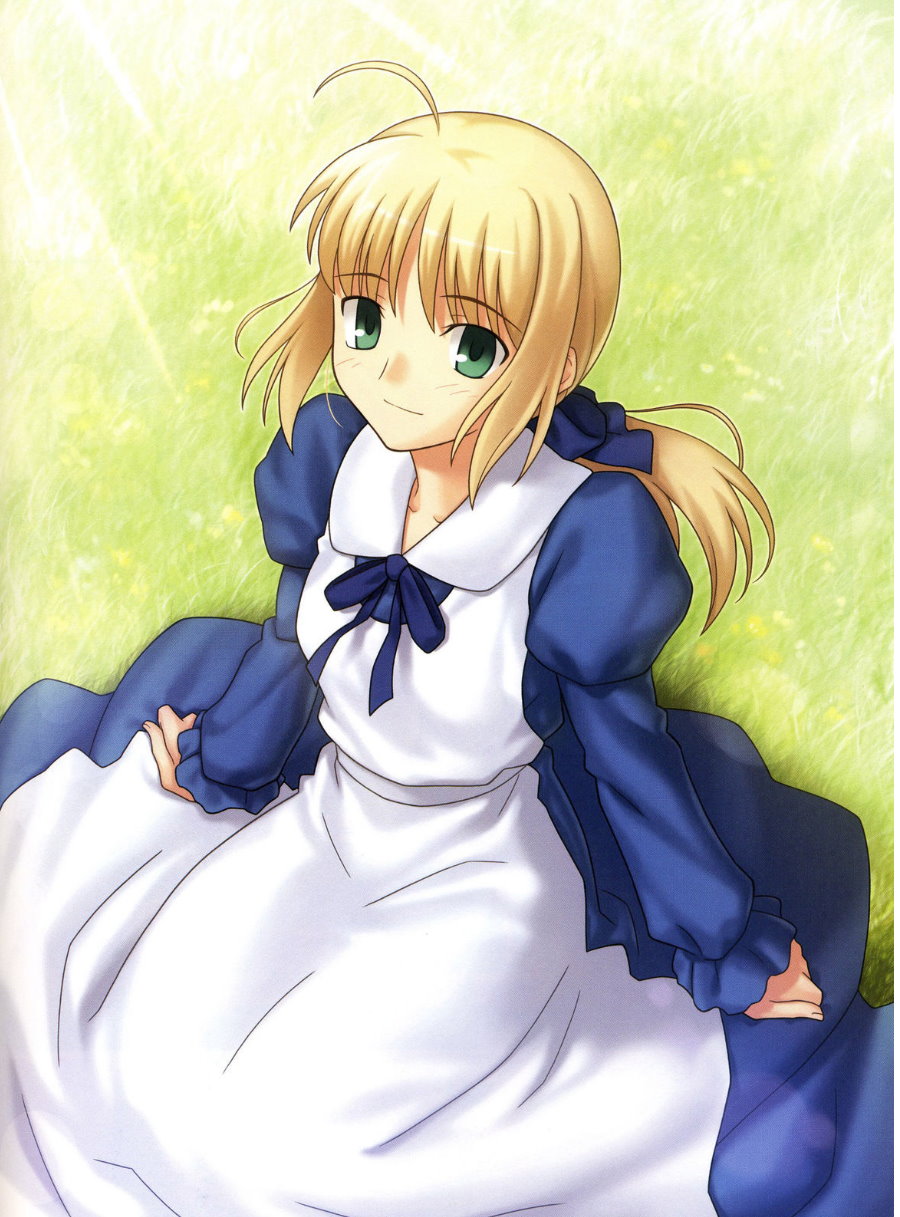 [TYPE-MOON (Takeuchi Takashi)] Fate/stay night FAKE Avalon(fate/stay night)