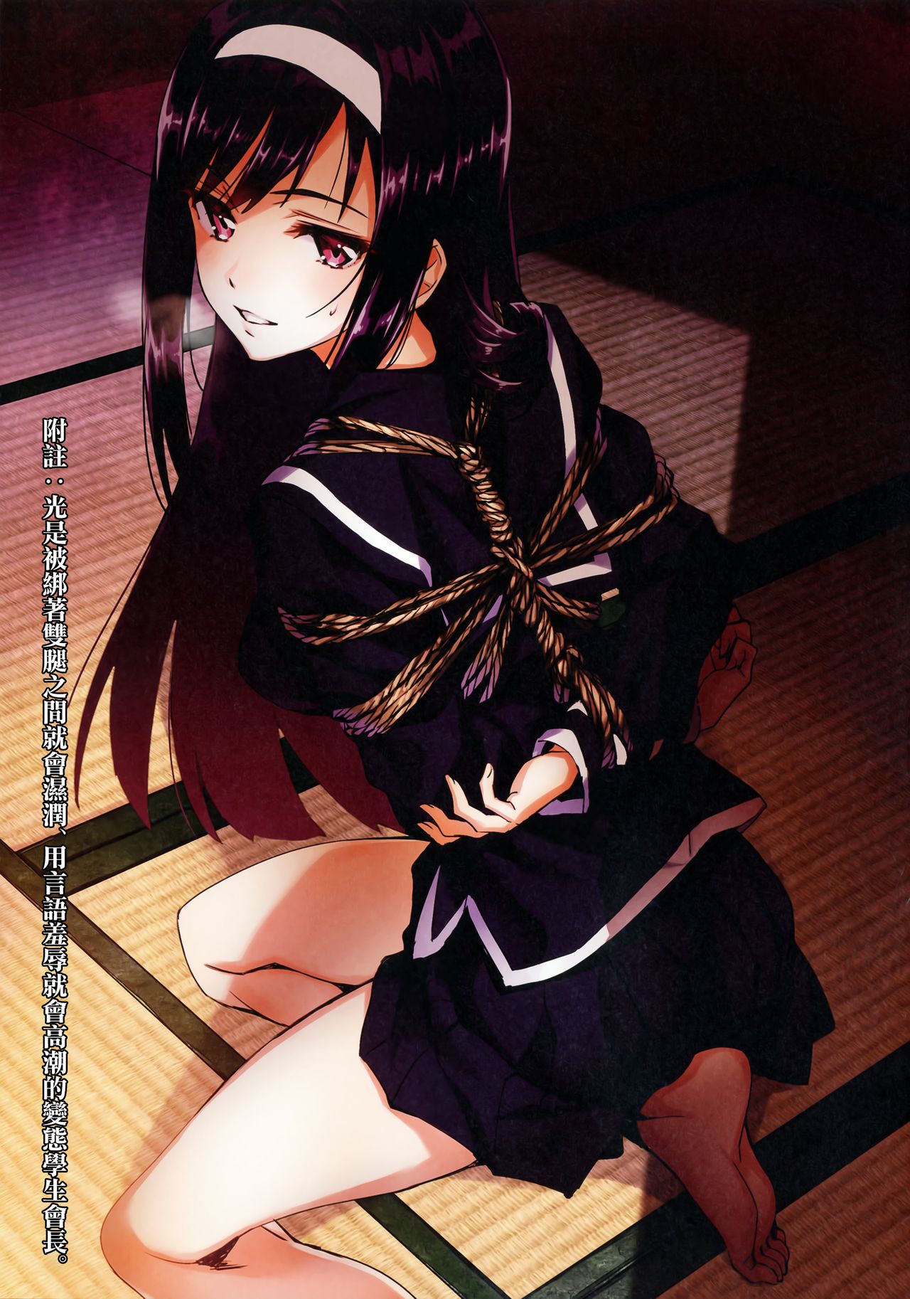 (C91) [alicemiller (松竜)] 夜の顔 [中国翻訳]