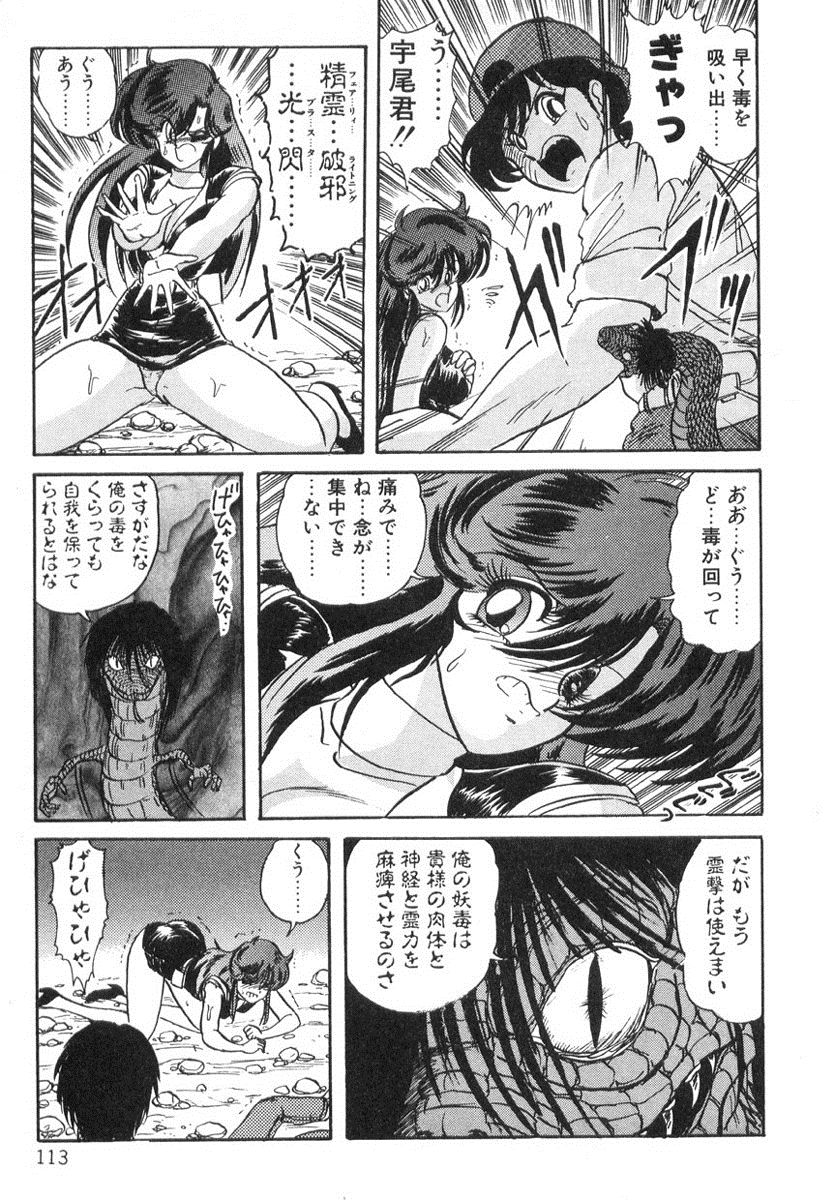 [上藤政樹] 精霊特捜フェアリィセイバー