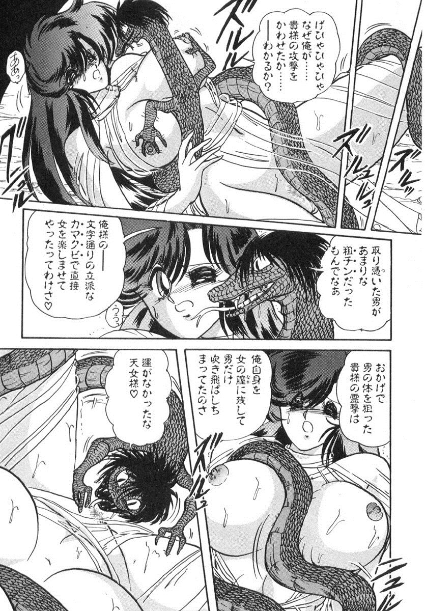 [上藤政樹] 精霊特捜フェアリィセイバー