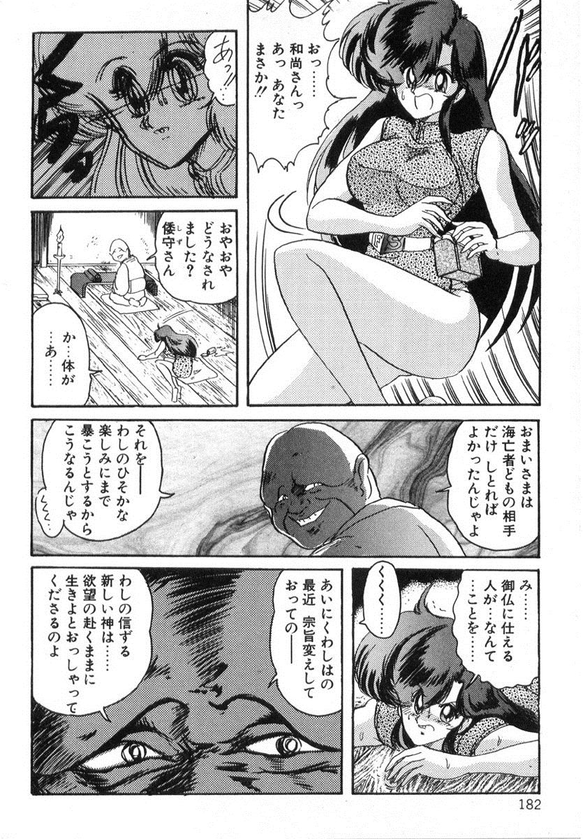 [上藤政樹] 精霊特捜フェアリィセイバー