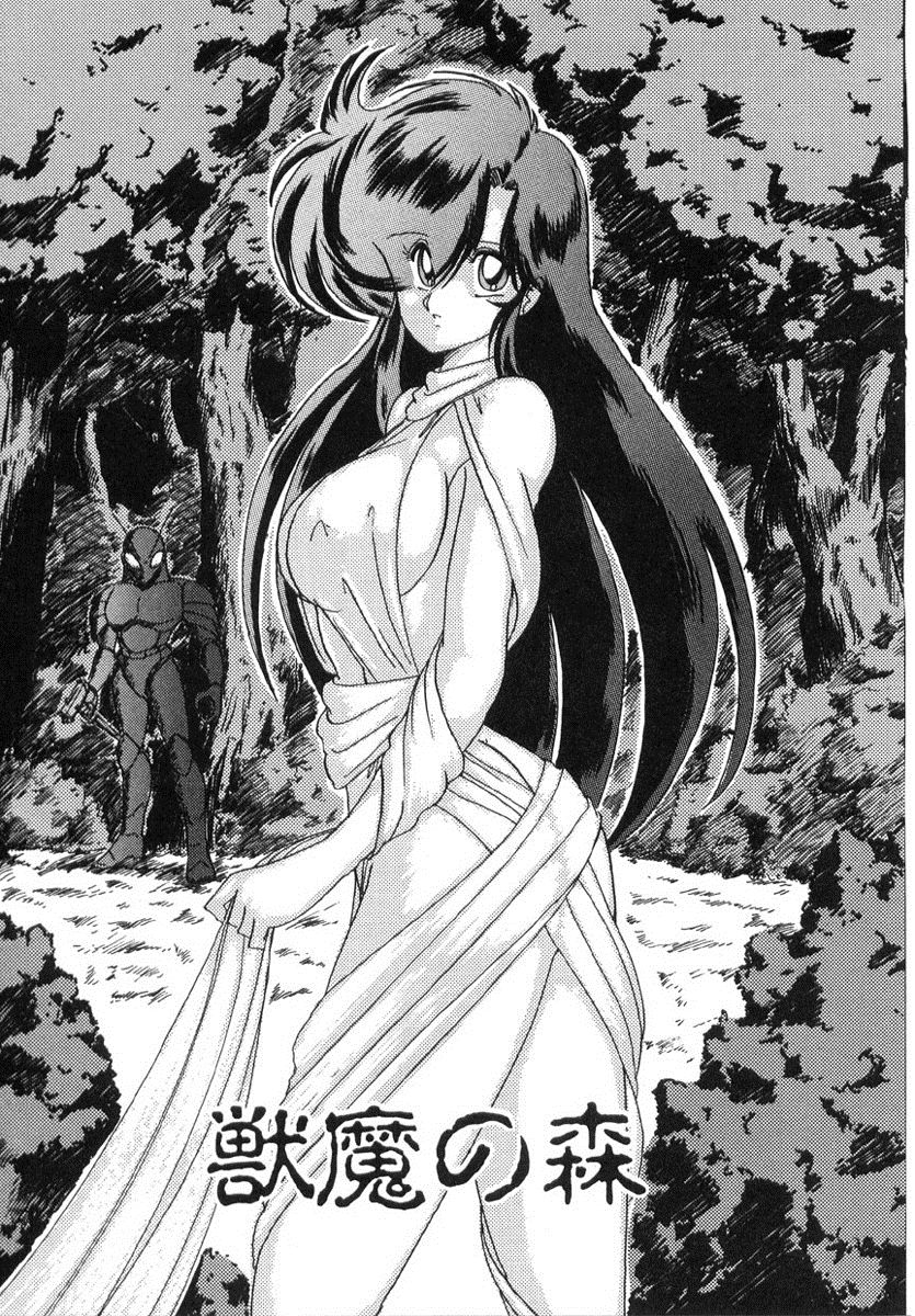 [上藤政樹] 精霊特捜フェアリィセイバー