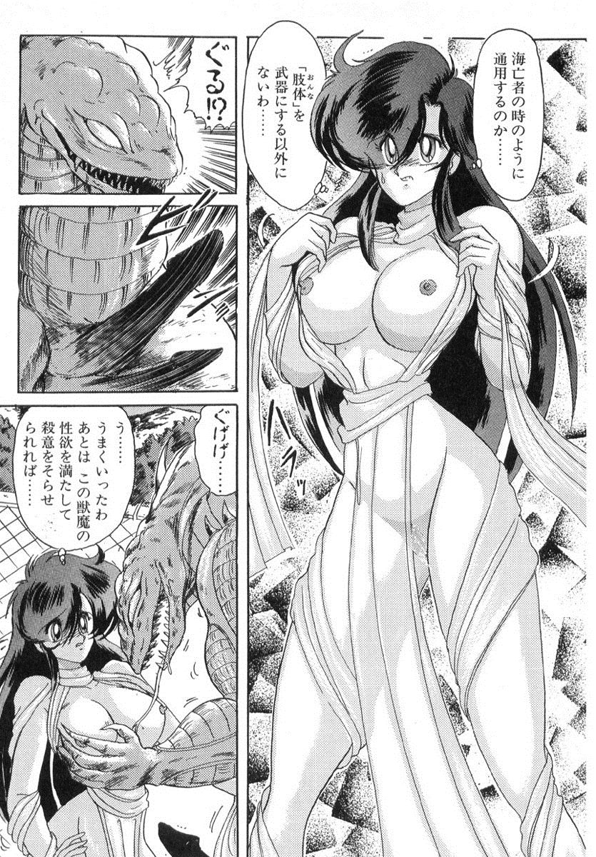 [上藤政樹] 精霊特捜フェアリィセイバー