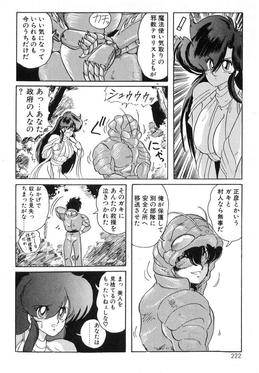 [上藤政樹] 精霊特捜フェアリィセイバー