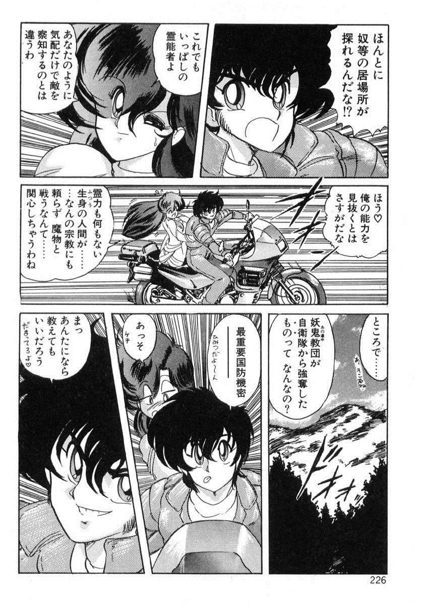 [上藤政樹] 精霊特捜フェアリィセイバー