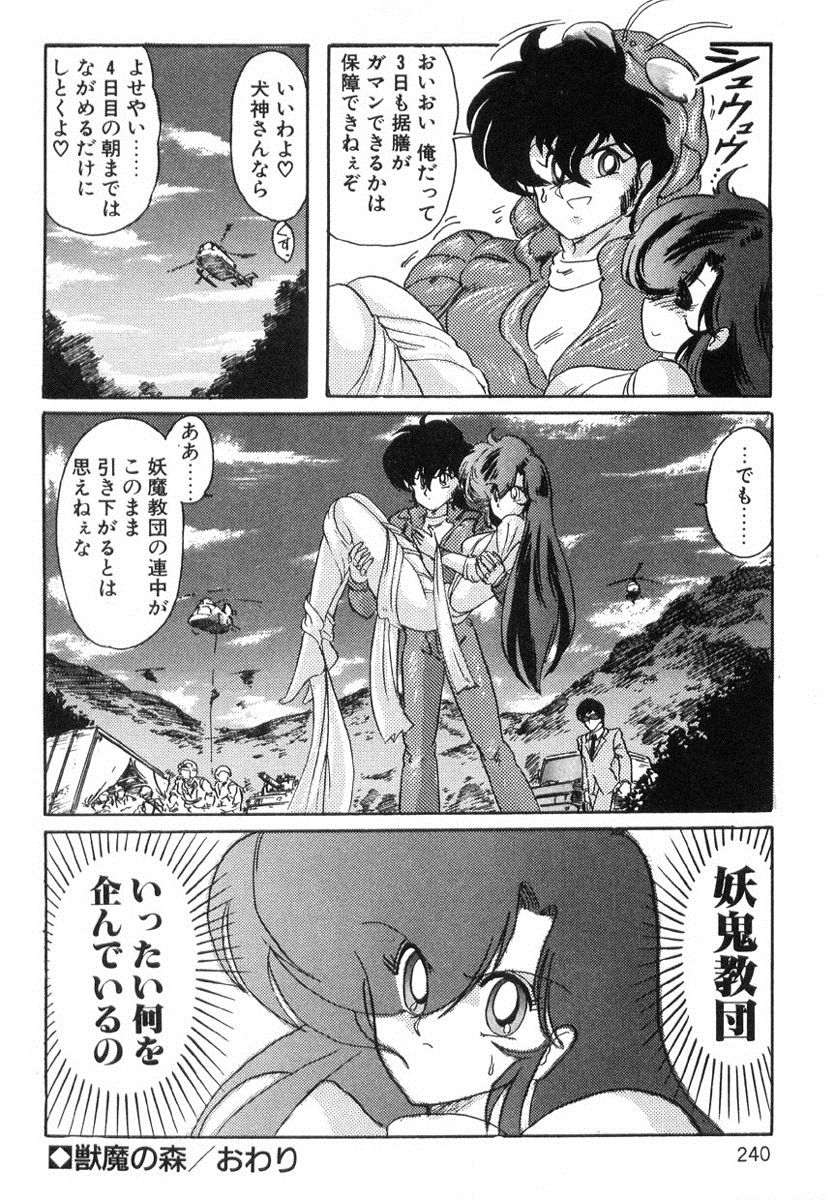 [上藤政樹] 精霊特捜フェアリィセイバー